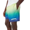 Gradient-shorts