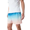 Jacquard Gradient swim shorts
