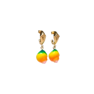 Örhängen med snäckor