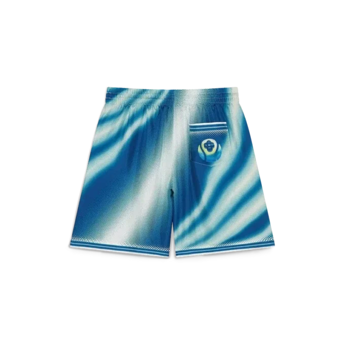 The Art of the Serve Silk Shorts